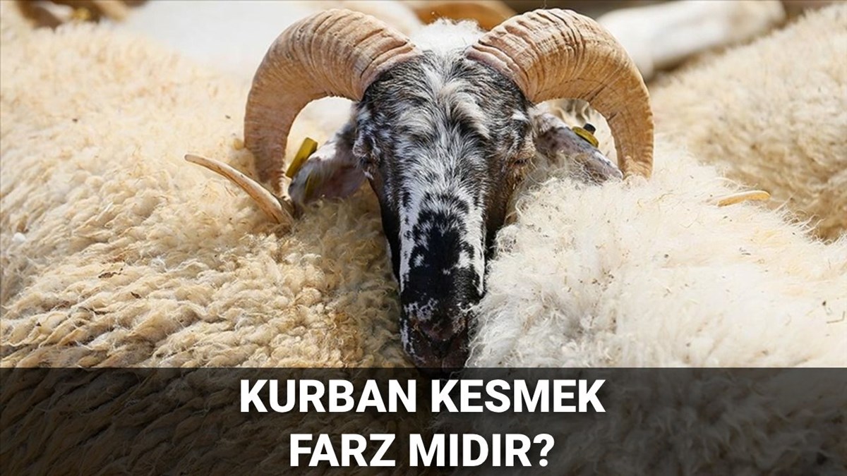 8YgJokEpckKlyXaZxIMuFg.jpg