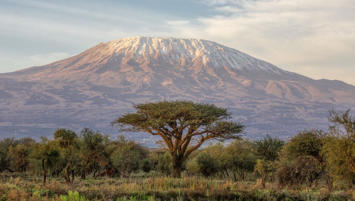 Dünya Meteoroloji Örgütü: Afrika'daki Kilimanjaro dahil 3 tropik buz sahası önümüzdeki 20 yıl içinde yok olacak