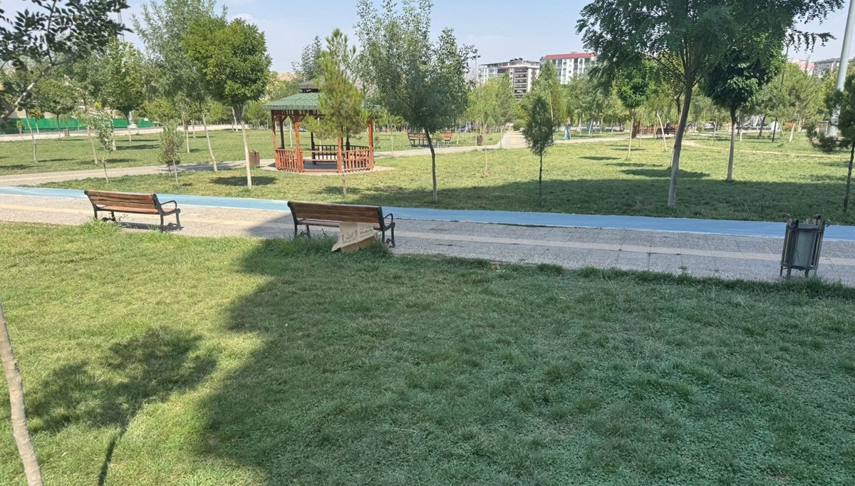 Siirt'te sıcağın etkisiyle bir kadın bayıldı