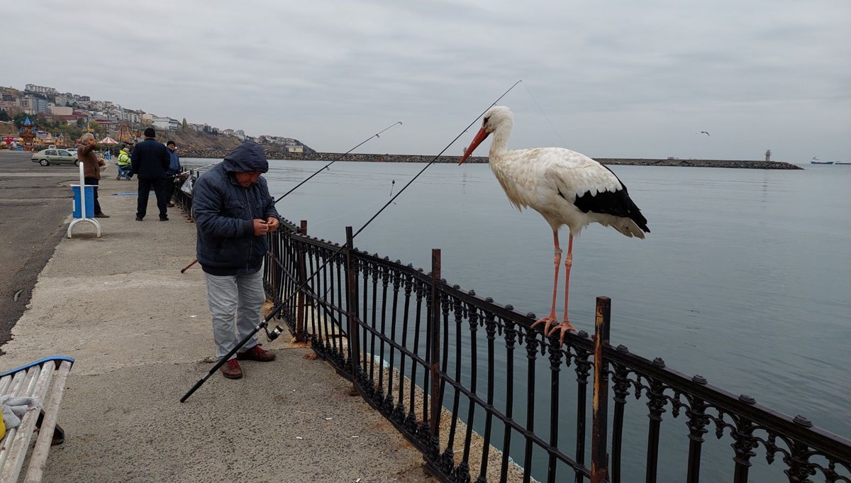 Göç yolunda başına gelmeyen kalmadı