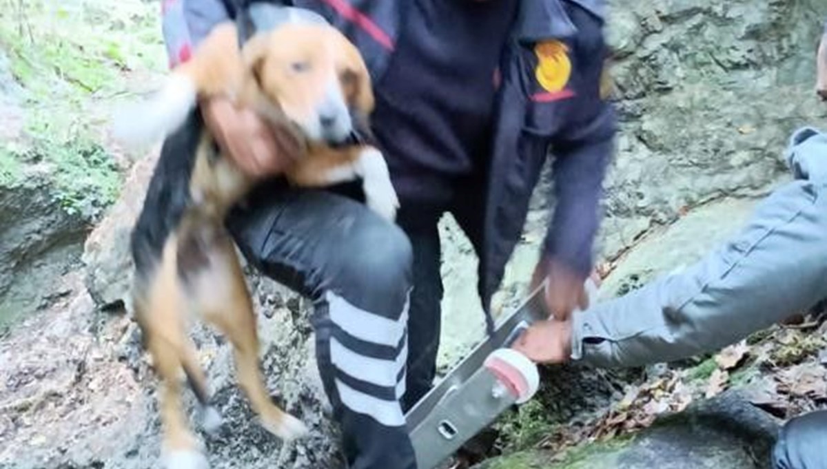 Hatay’da kuyuya düşen köpek kurtarıldı Hatay’da kuyuya düşen köpek kurtarıldı
