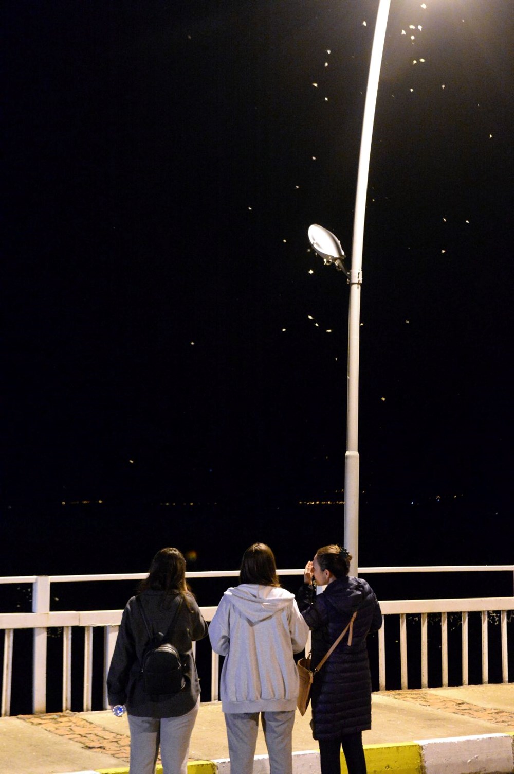 Ardahan'da "bir günlükler"in ölüm uçuşu başladı - 9