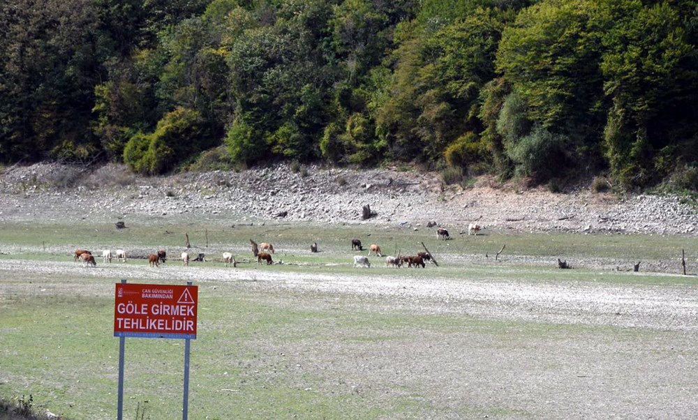 Trakya'da, İstanbul'un suyunu karşılayan barajlar kurudu - 3
