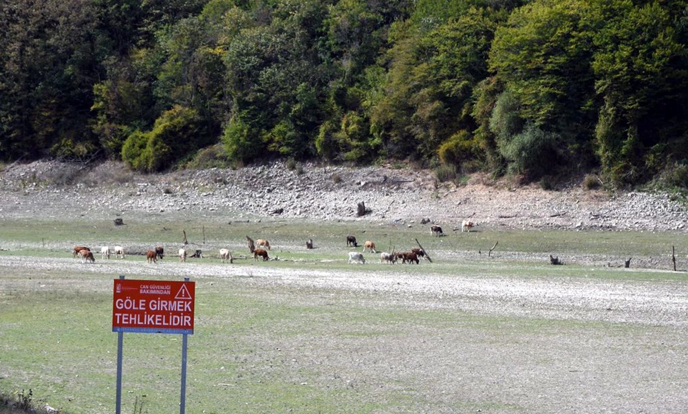 Trakya'da, İstanbul'un suyunu karşılayan barajlar kurudu - 3