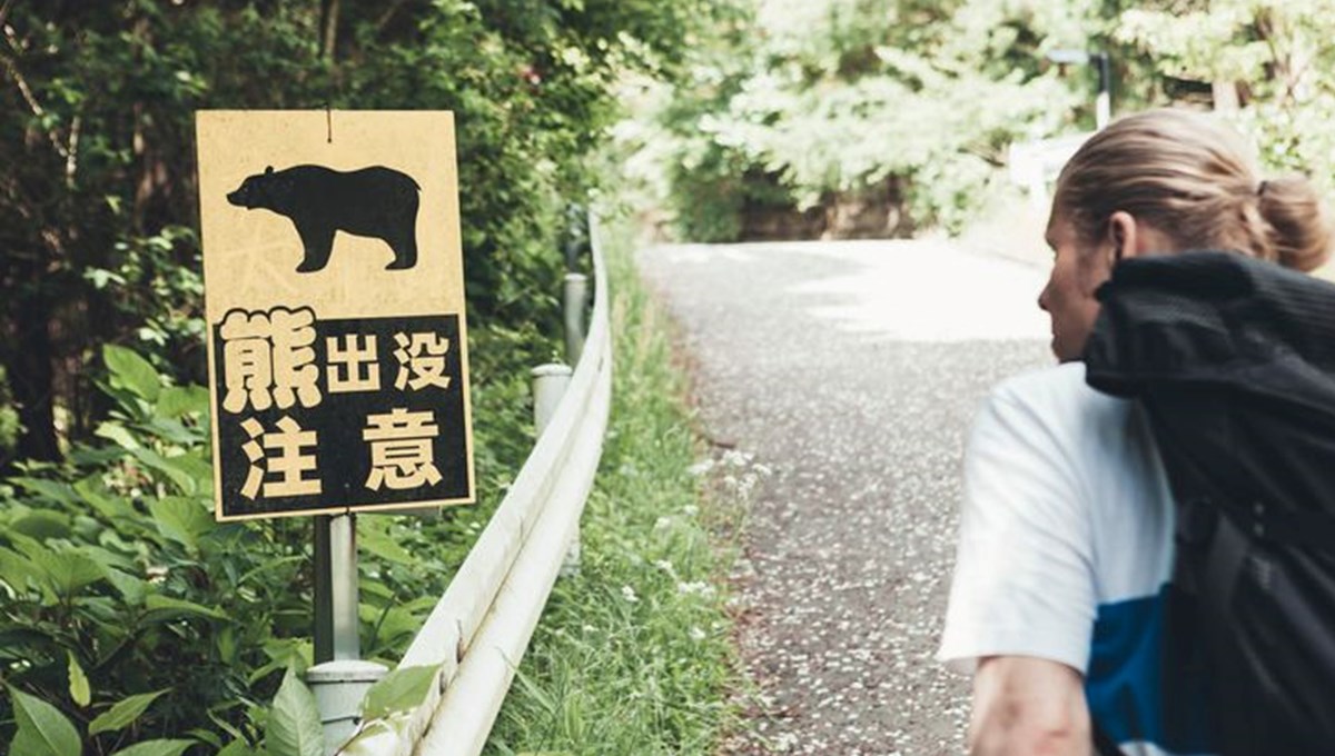 Japon ormanlarında ayıyla güreşti