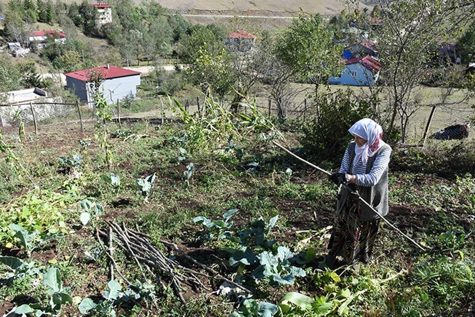 Eğriçimen ve Perşembe yaylaları her mevsim ziyaretçi çekiyor - 4