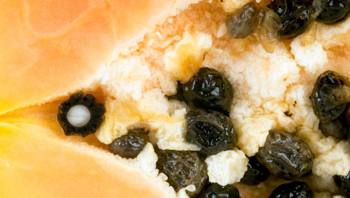 Gastroenterolog açıkladı: Kabızlığı bitiren 5 muhteşem meyve