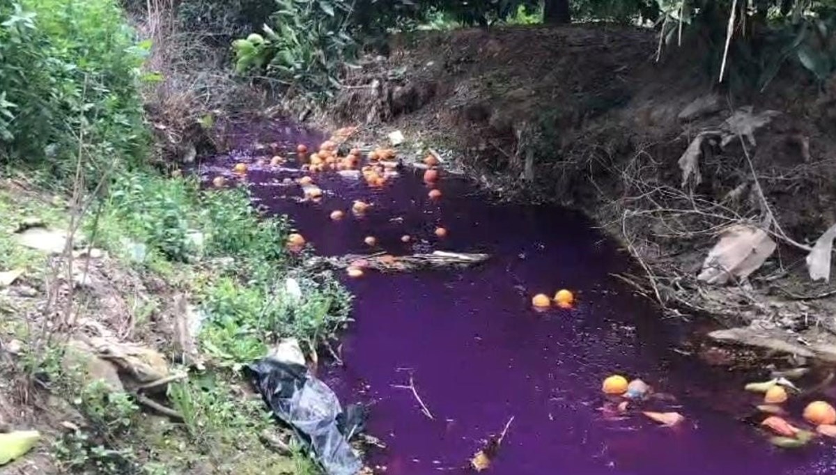 Bu derede artık canlı yaşamıyor: Renk değişiminin nedeni belli oldu Bu derede artık canlı yaşamıyor: Renk değişiminin nedeni belli oldu