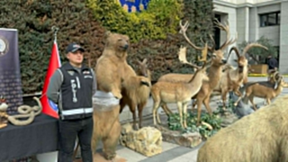 İstanbul’da dondurulmuş hayvan müzesine operasyon: Timsah,
aslan, çita, bizon tahnitlerine el konuldu - 8