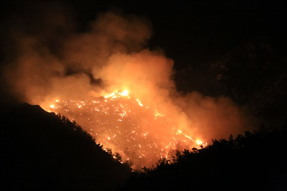 "Milas'taki yangın kısmen kontrol altına alındı" | NTV