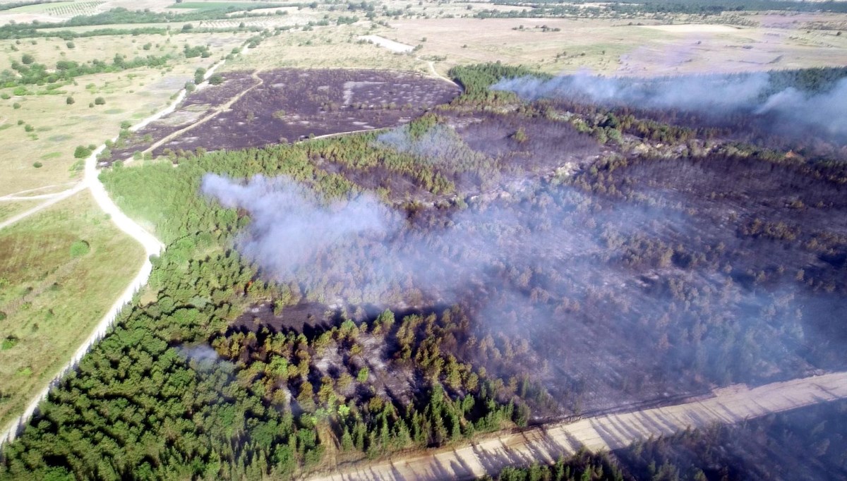 Tekirdağ'da ormanlara giriş yasaklandı