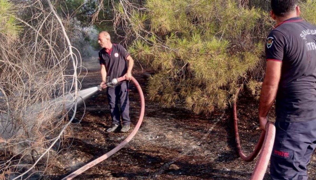 Şanlıurfa'da otluk alanda yangın