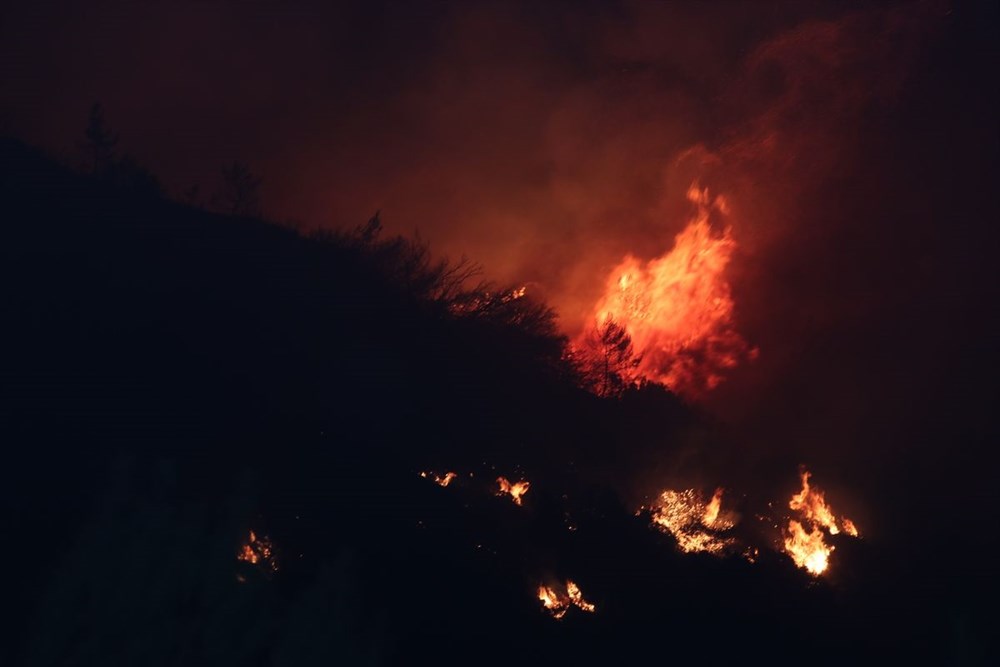 İzmir'in Menderes ilçesindeki yangına bir gözaltı - 26