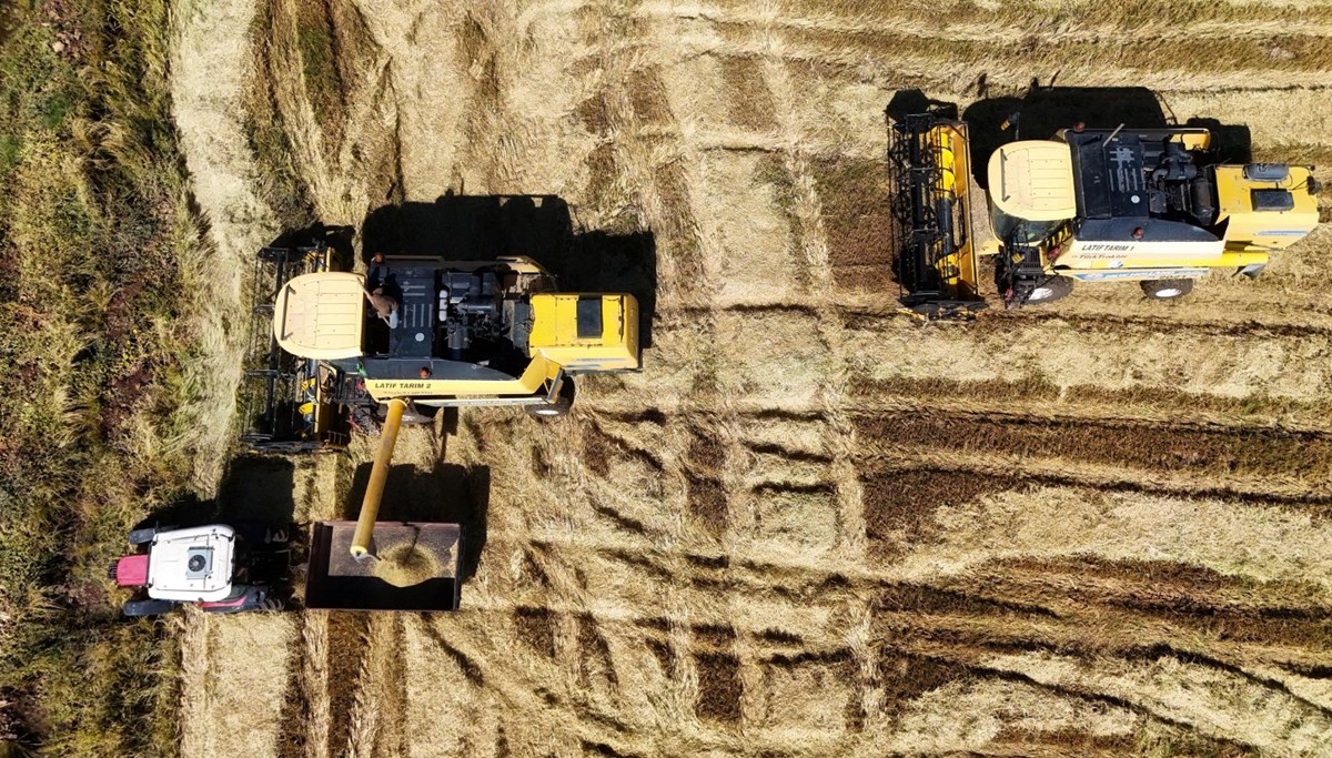 6 milyon lira maliyeti var: Hasadı 2 hafta sürecek