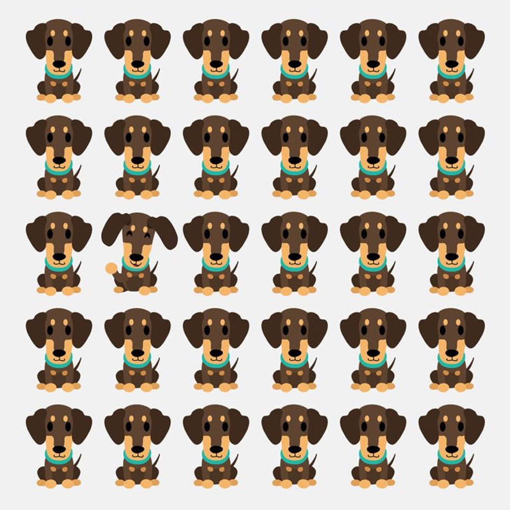 Bu görsel size kim olduğunuzu söylüyor: Resimde ilk önce hangi hayvanı gördünüz? - 63