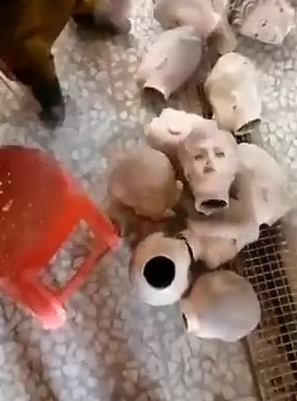 Sokaklar kafası kesik ya da yüzü kapalı mankenlerle doldu - 6