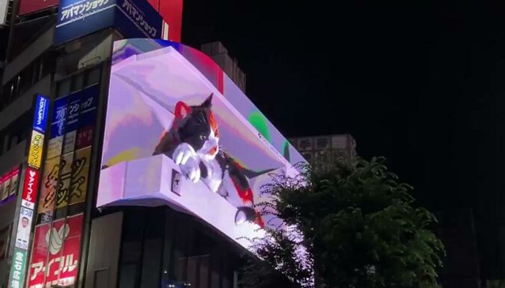 Tokyo's new guest 3D cat: He watches the city and greets the public - 5