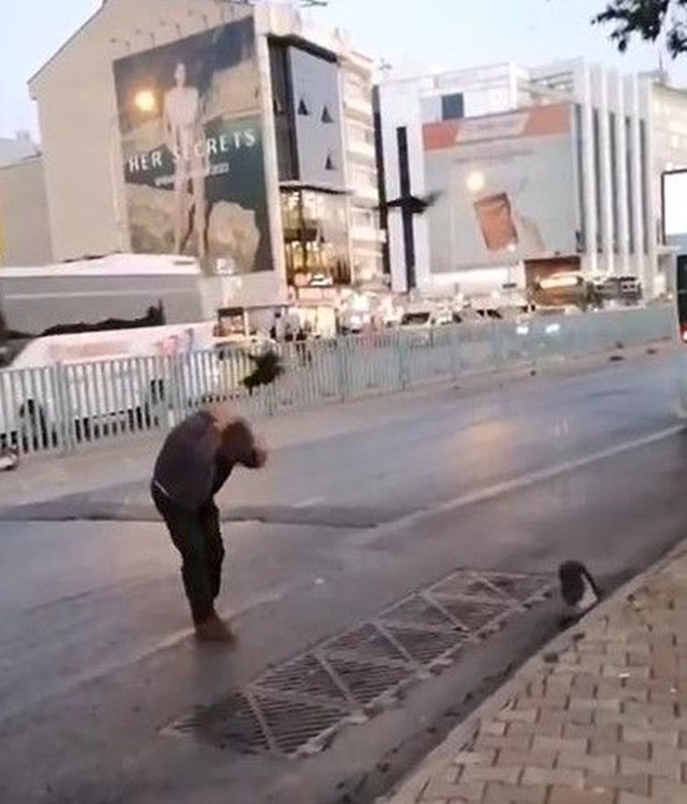 Kadıköy'de karga saldırısı – RujMuj | Haberler – Son Dakika Haber, Güncel  Haberler