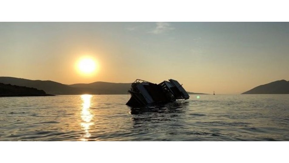 Muğla'da 43 kaçak göçmen yakalandı