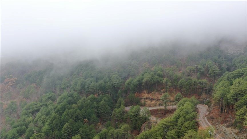 Kazdağları'nın doğal güzellikleri büyülüyor