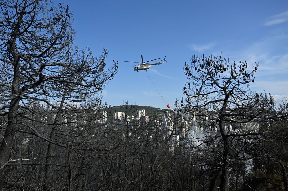 İstanbul Maltepe'de orman yangını - 19