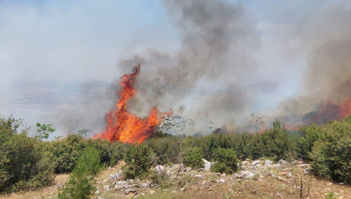 İki ilde orman yangını: Havadan ve karadan müdahale sürüyor