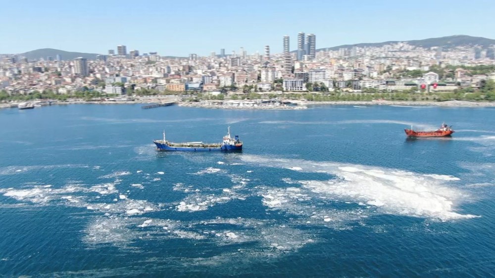 İstanbul sahillerini istila eden deniz salyalarında yoğunluk arttı - 5
