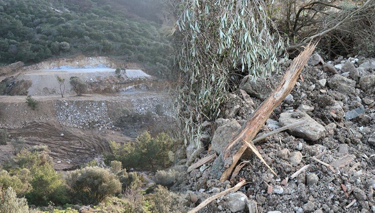 Yanan ormanlar moloz doldu