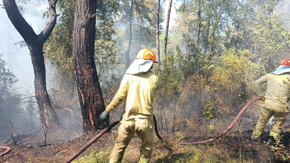 Türkiye'nin ciğerleri yanıyor: İşte yangınlarda son durum - 20