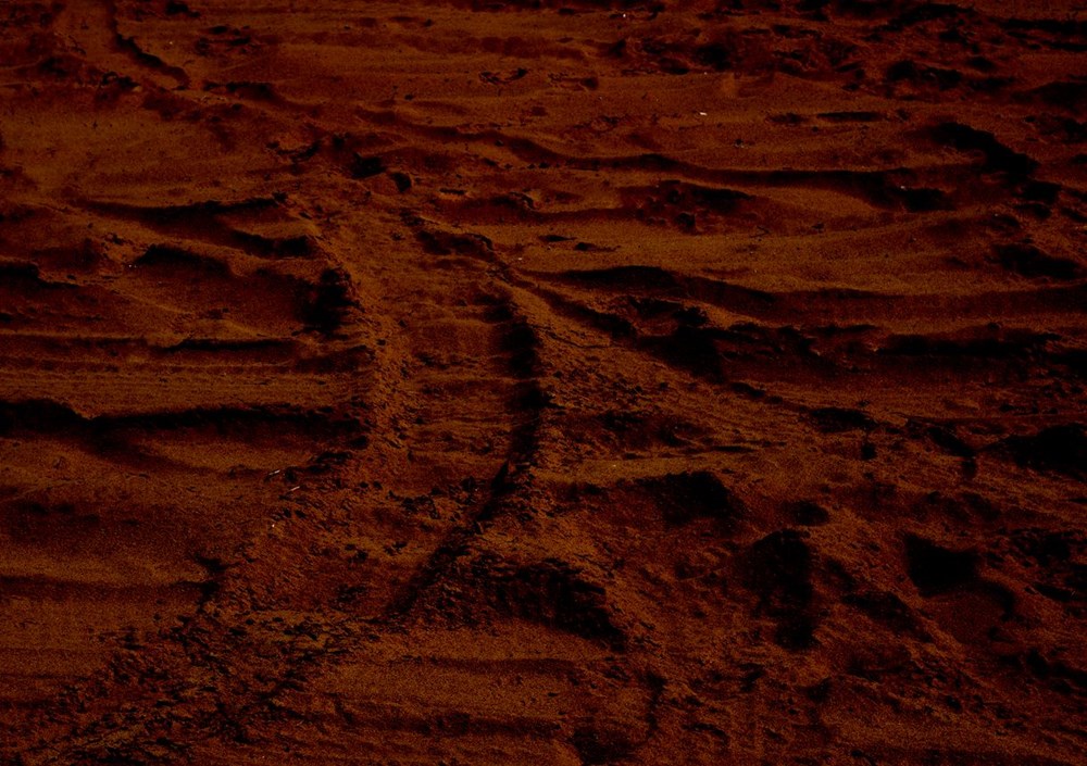 Mars'ta yaşamın var olabileceğine dair güçlü kanıtlar bulundu: Yaban mersini kayaları bol miktarda hidroksil içeriyor - 5