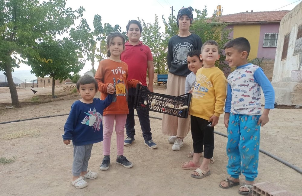 Meyve kasasından langırt , cevizden top - 4