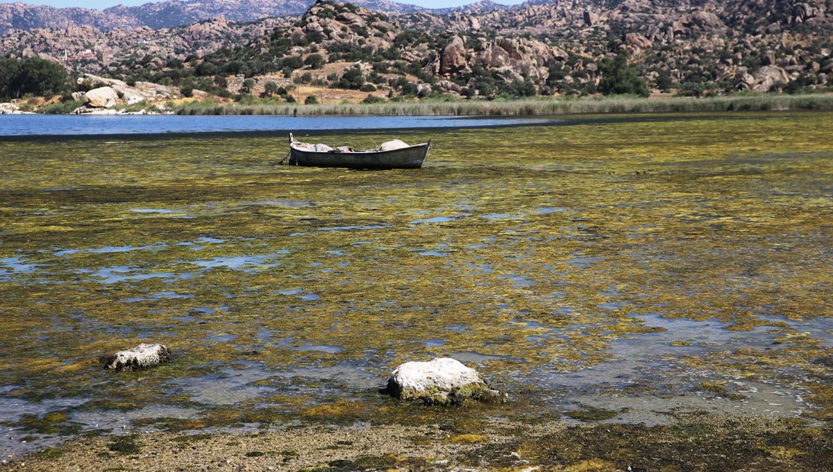 Bafa Gölü'nde kirlilik