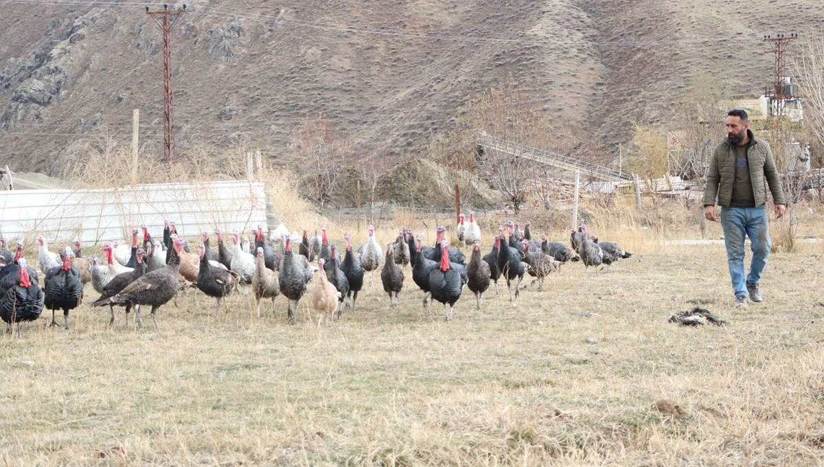 Fiyatı 4 bin lirayı buluyor: Yılbaşı öncesi satışa çıktı Fiyatı 4 bin lirayı buluyor: Yılbaşı öncesi satışa çıktı