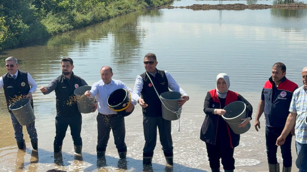 96TL Jr98kS9aqdHwHZAPQ