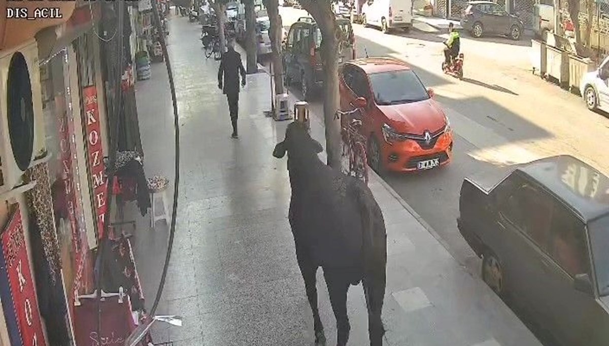 Angus firarda: Sokakları birbirine kattı, bir kişiyi yaraladı Angus firarda: Sokakları birbirine kattı, bir kişiyi yaraladı