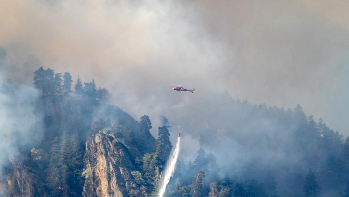 İsviçre'de orman yangını: 100 hektardan fazla alan etkilendi