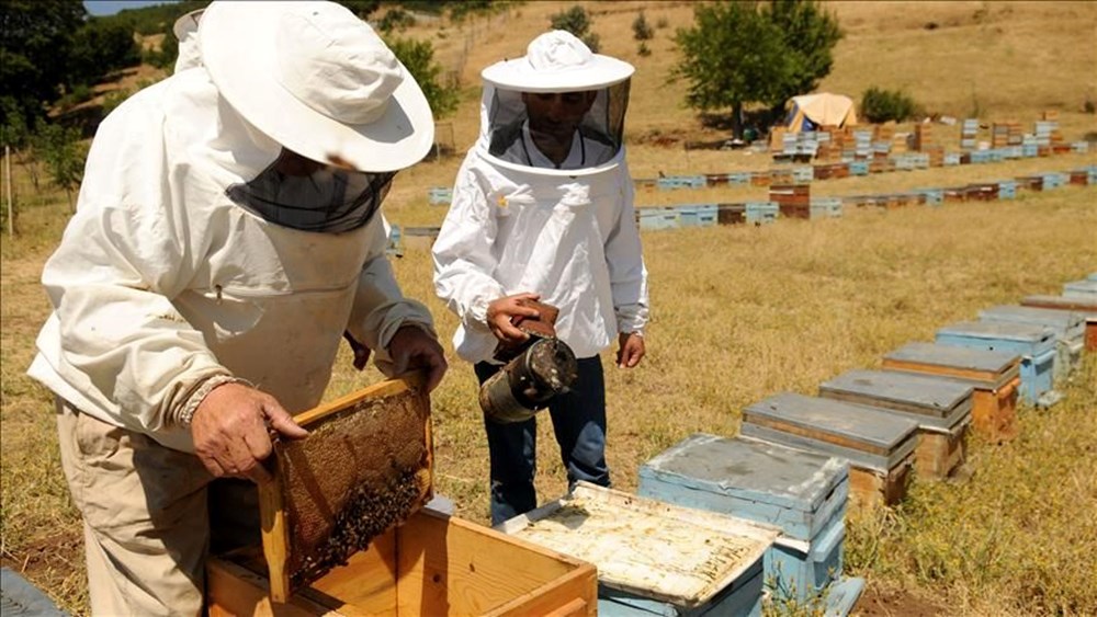 Türkiye'nin 10 lezzeti daha AB'de tescil yolunda - 4