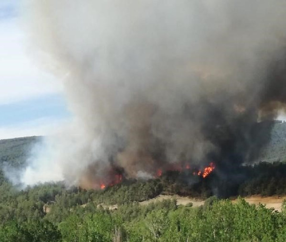 Kastamonu'da orman yangını - 2