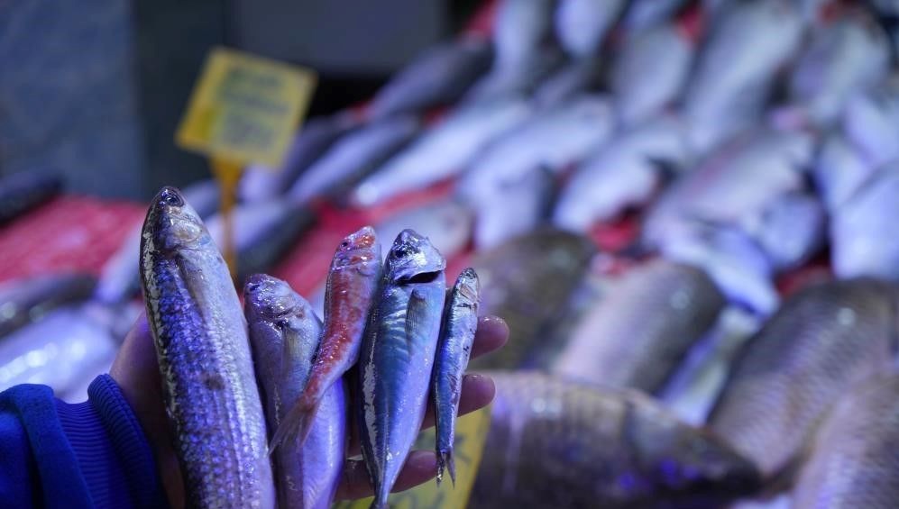 Bolluk müjdesi: Bu yıl 2 çeşit de tezgahta olacak