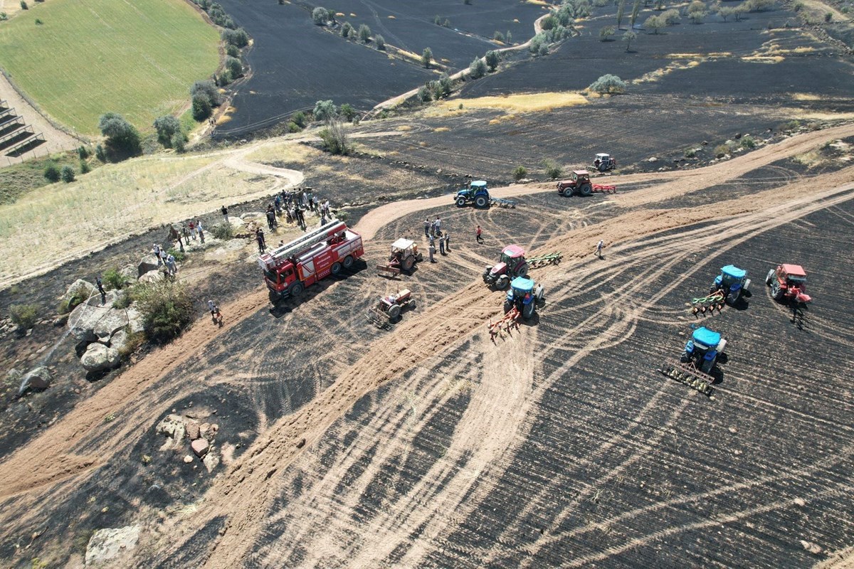 Alev alev yandı, 30 dönümlük arazi küle döndü