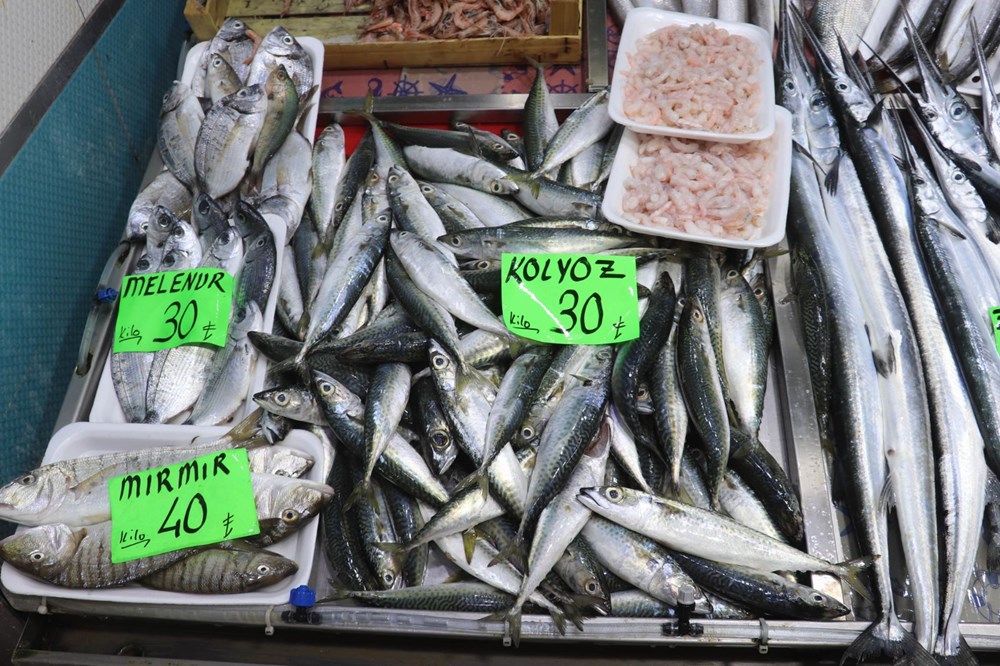 Müsilaj balıklarda zehir etkisi yaratır mı? Uzmanı yanıtladı - 2