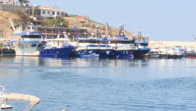 Balıkçılar için av yasağı bitiyor