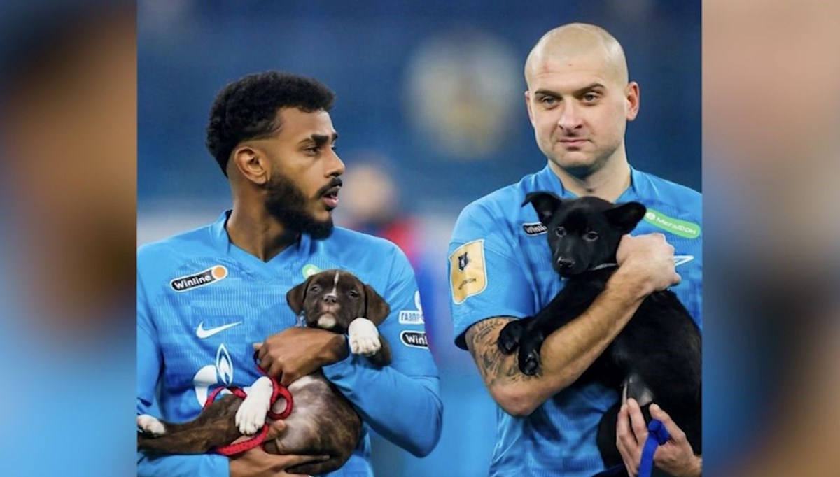 Yeşil sahaya köpeklerle çıktılar