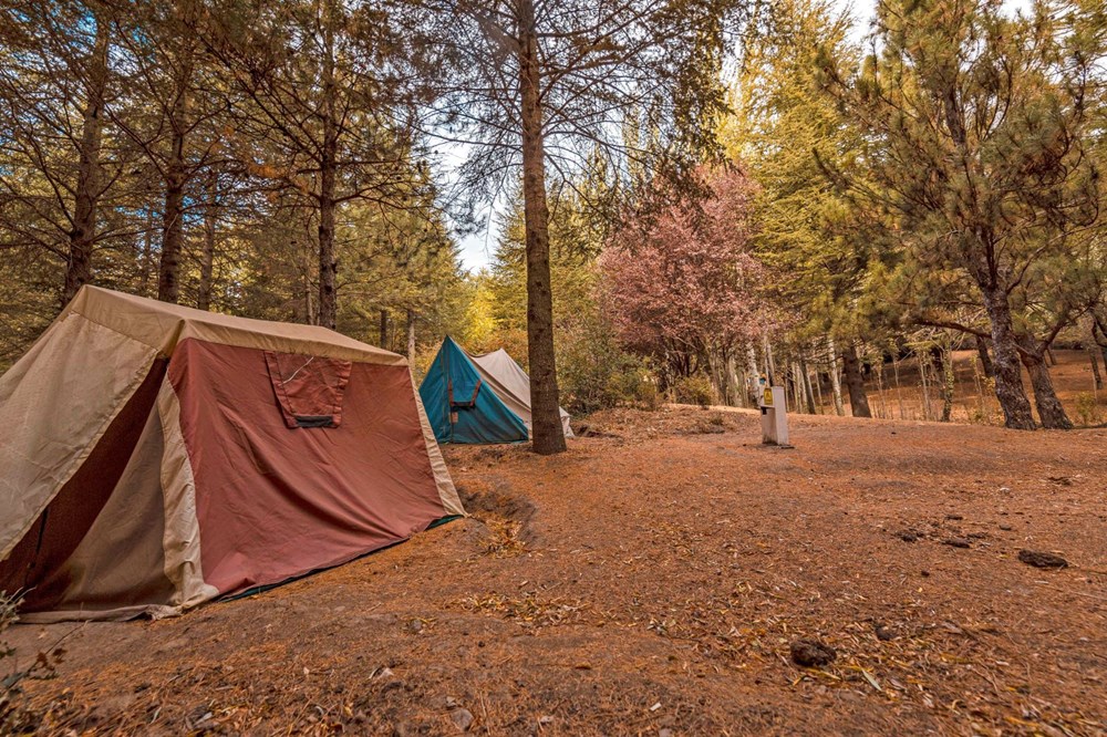 Corona virüs, doğa turizmine ilgiyi artırdı - 1