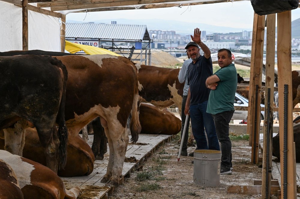 Kurban keserken dikkat! Cezalar el yakıyor - 2