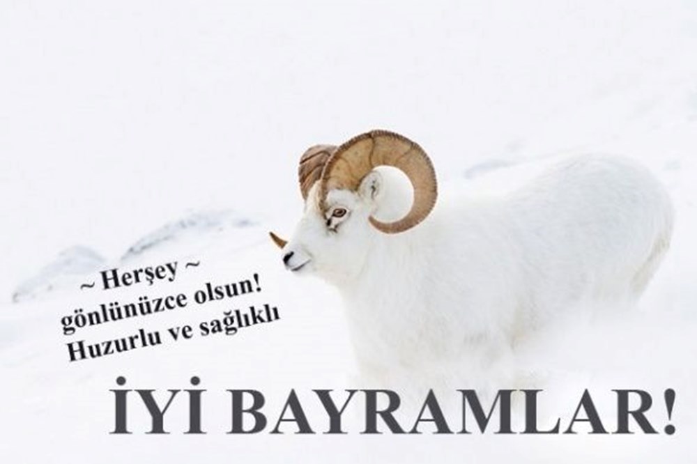 En anlamlı Kurban Bayramı kutlama mesajları 2025: Eşe, dosta, akrabaya, aileye resimli, uzun-kısa Kurban Bayramı mesaj ve sözleri - 4