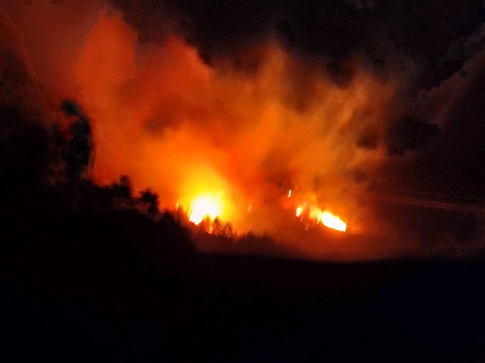 Trabzon'un birçok noktasında orman yangını - 11