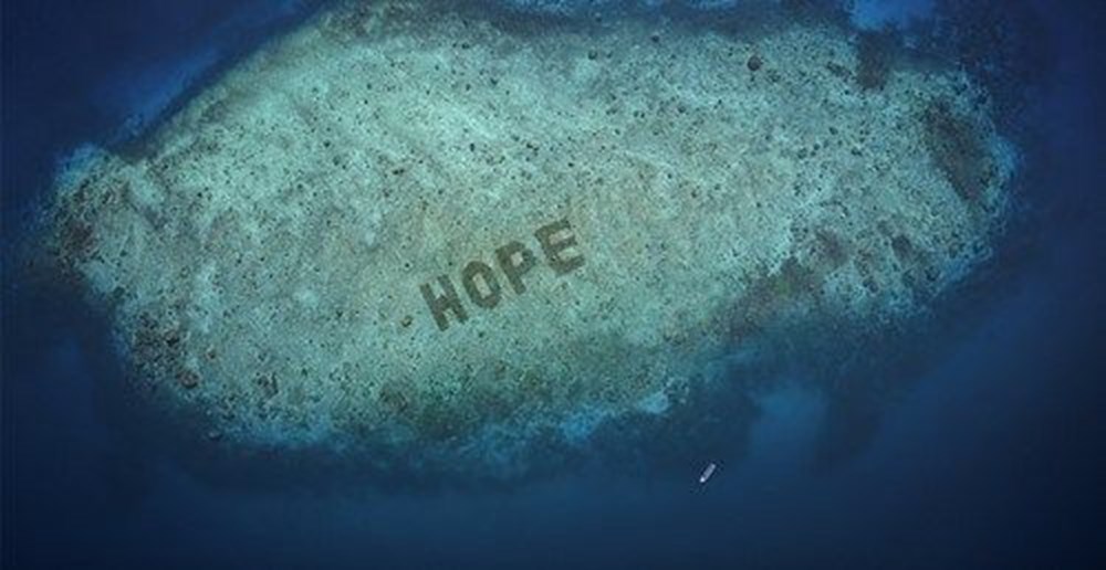 Dünyanın küresel ısınma ile mücadelesinde yeni umut: Endonezya’da 40 bin metrakarelik mercan resifi yenilikçi projeyle hayata döndürüldü - 6