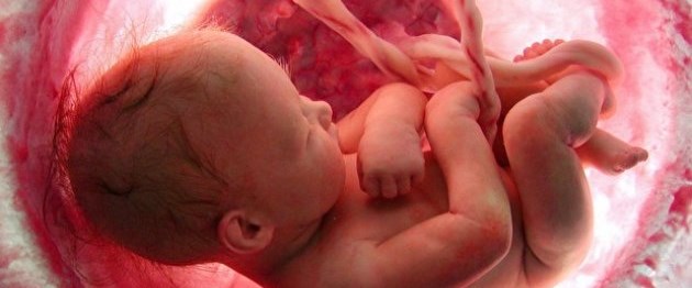 Anne karnında ameliyat Sağlık Haberleri NTV