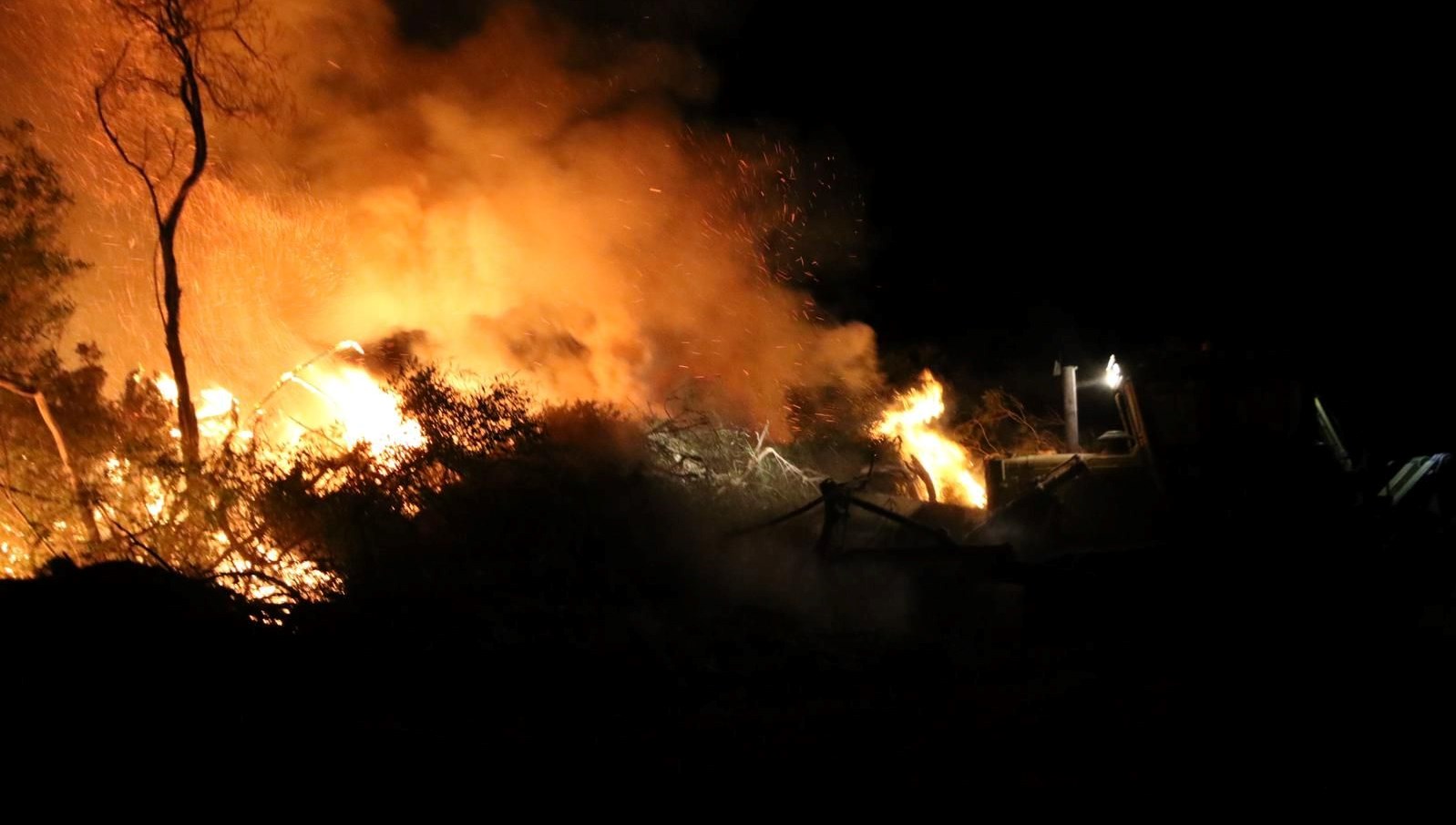 Kaş'ta ağaçlandırma sahasında yeniden çıkan yangın seralara sıçradı
